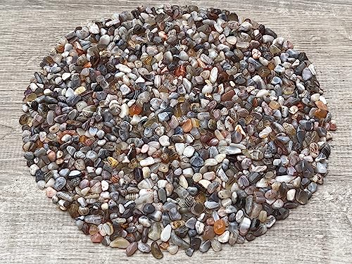 Image of GAF TREASURES 2 oz Lot Natural Botswana Agate Semi Tumbled Gemstone Chips, Crushed Mini Crystals, Undrilled Crystal Chips