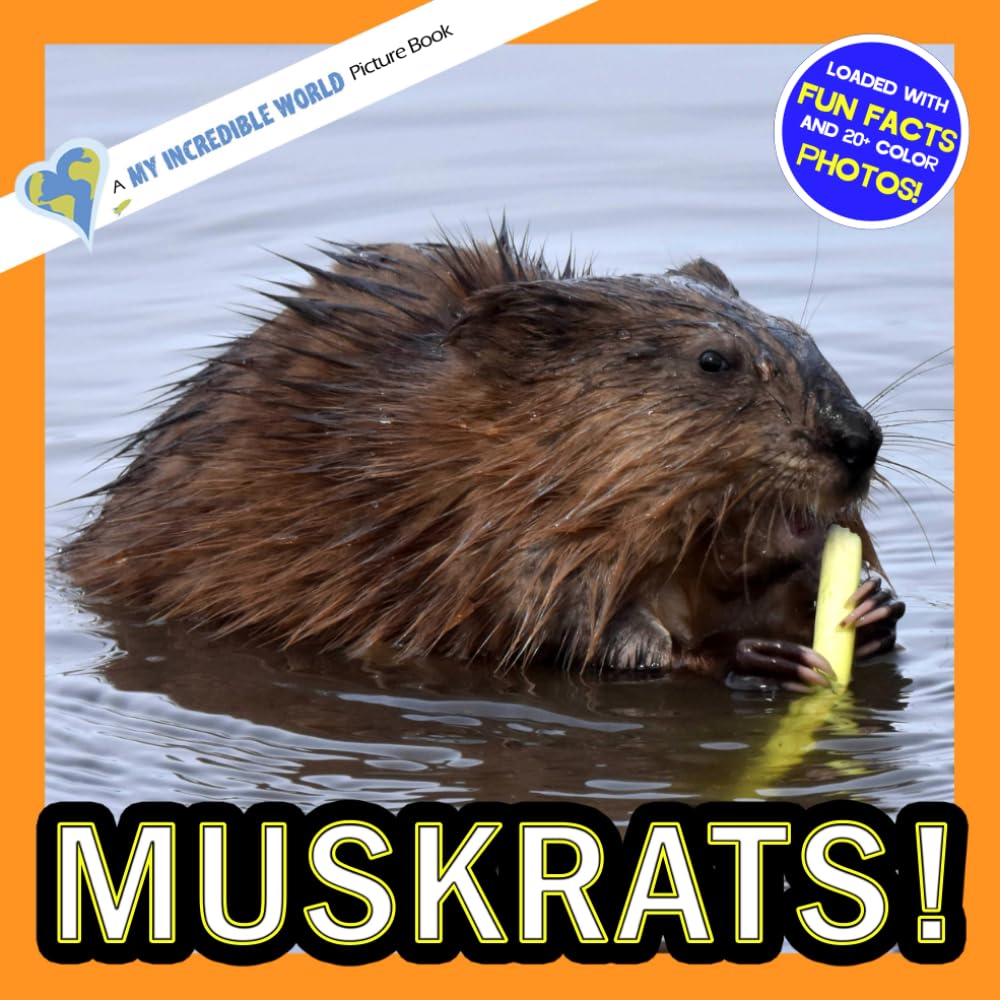 Muskrats!: A My Incredible World Picture Book for Children (My Incredible World: Nature and Animal Picture Books for Children)
