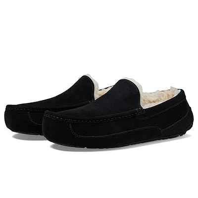 UGG Ascot Men
