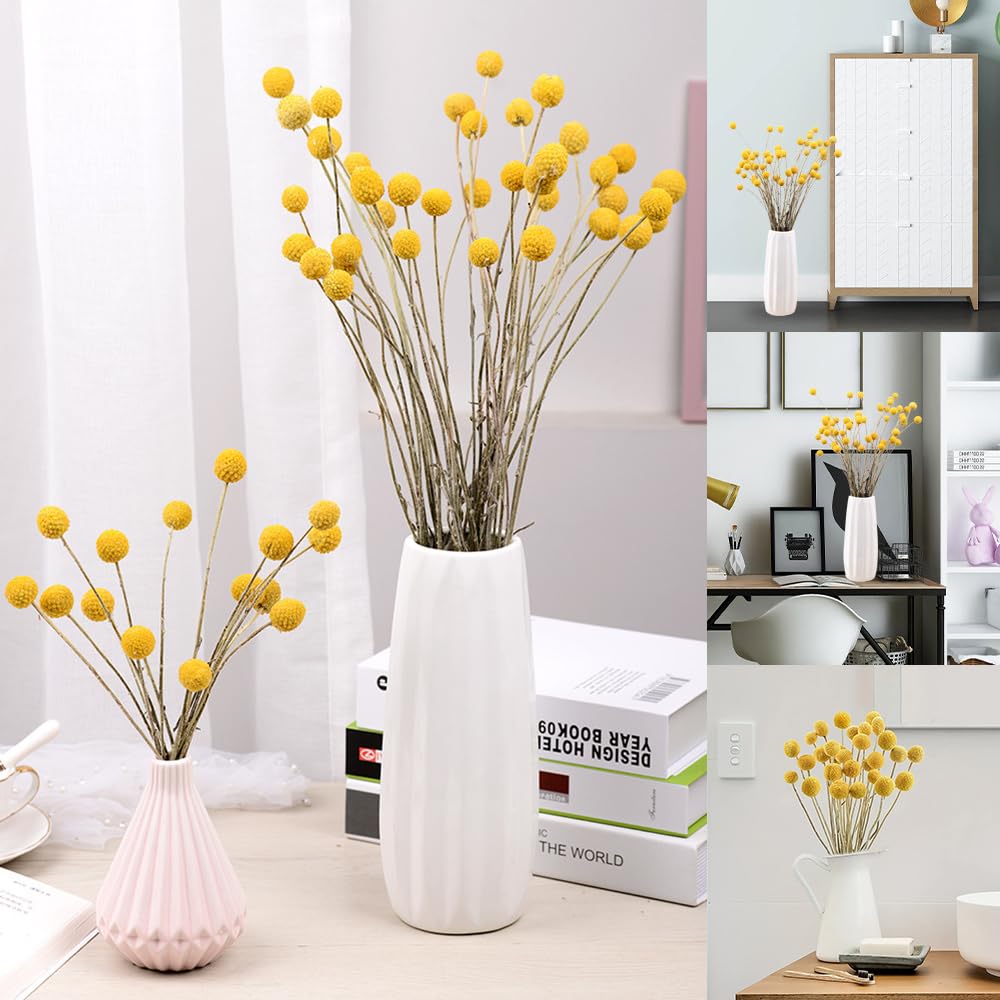 40 Palline Di Fiori Secchi Billy (Craspedia) Gialli – Altezza 43 Cm, Diametro Testa 1.5-2 Cm, Per Composizioni Floreali E Matrimoni