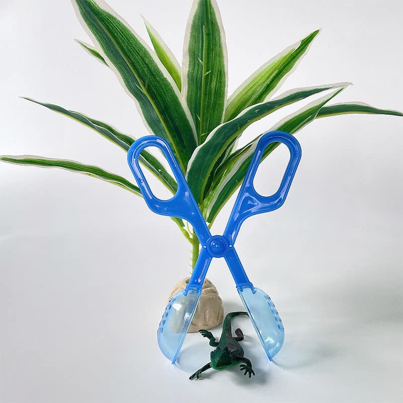 Image of Ximimark 3 pcs Classic Aquarium Litter Blue Clear Reptile Poop Clamp Tool Kit New