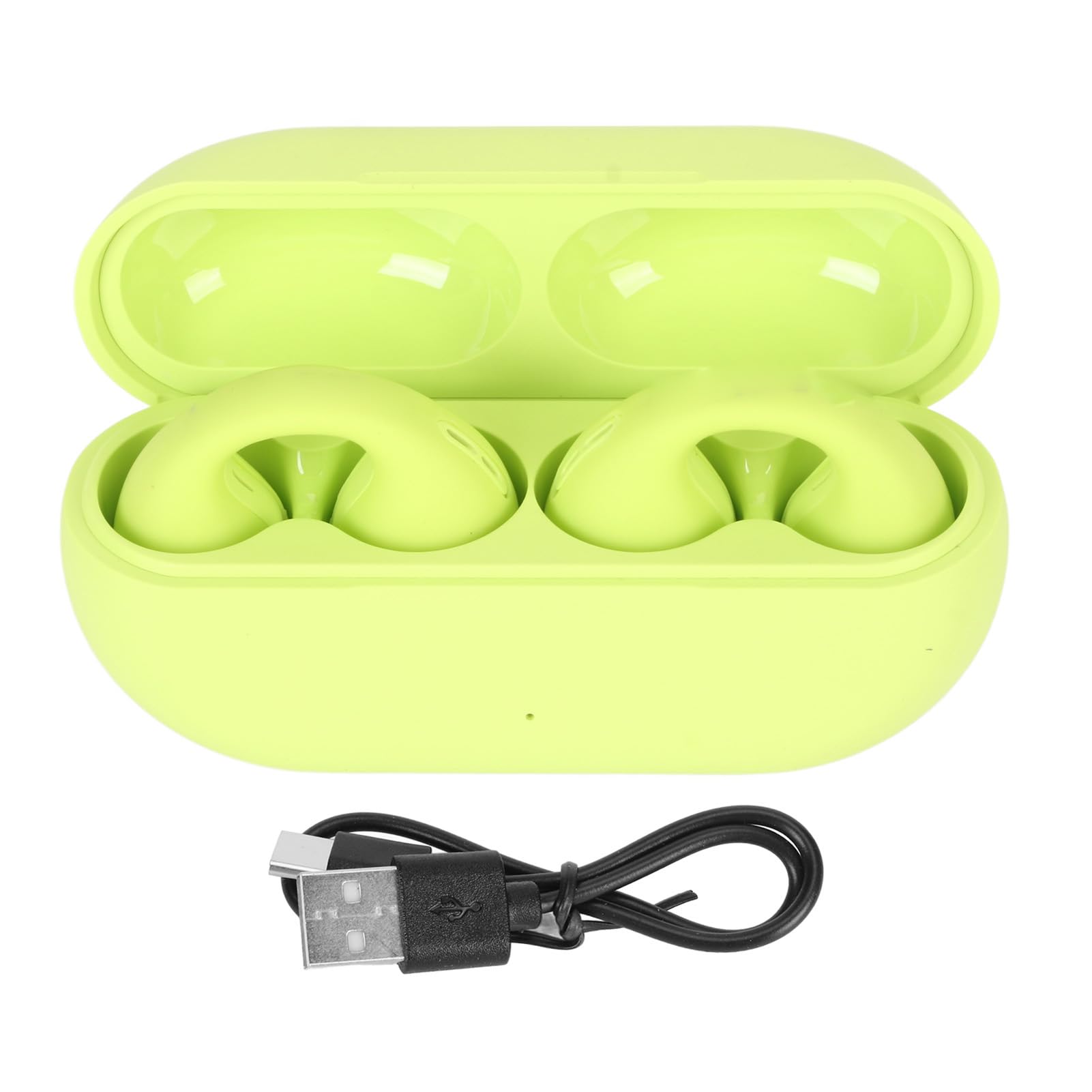 Alpine PARTYPLUG Pro Natural oordopjes / gehoorbescherming