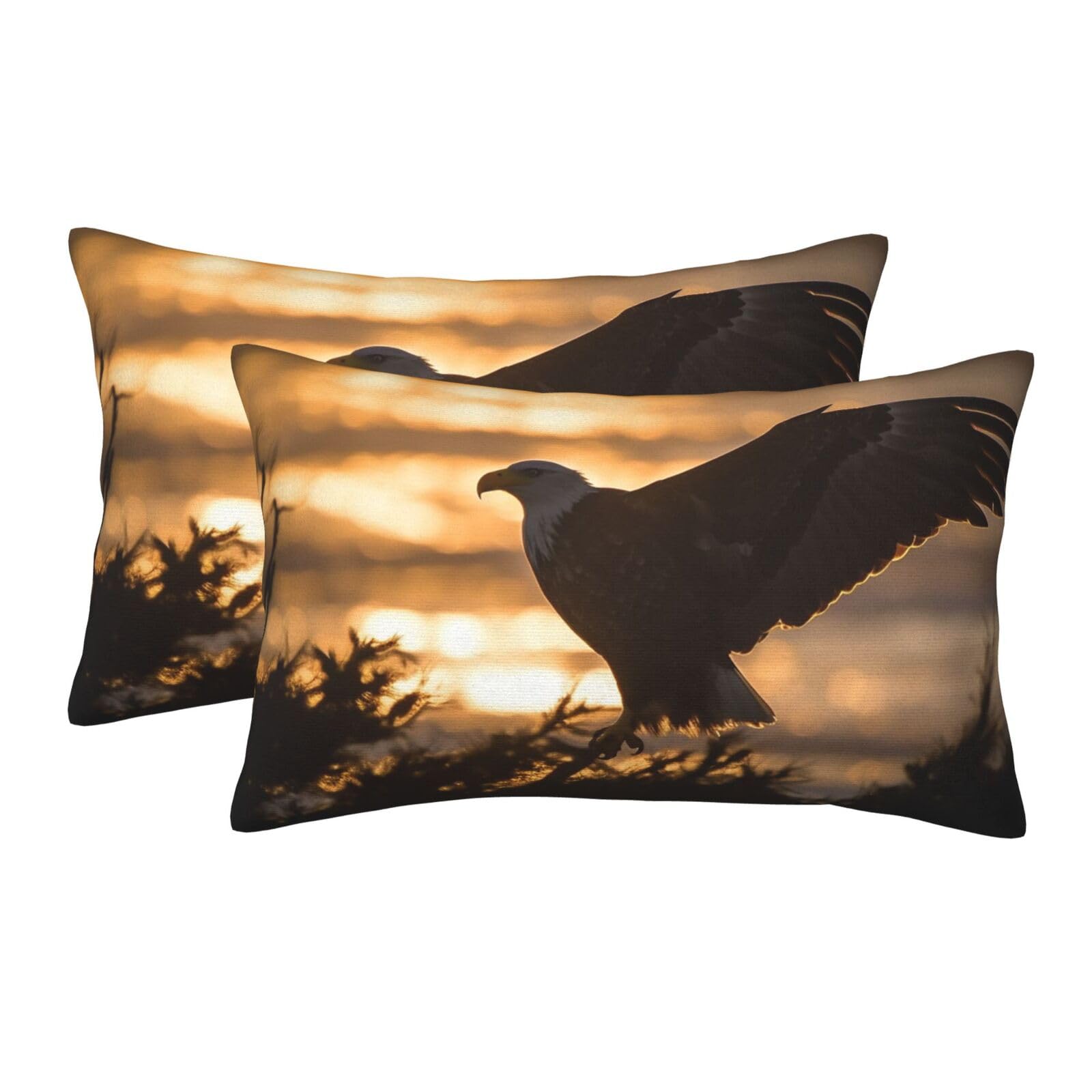 2 Pack Pillow Cases with Hidden Zipper, Soft Breathable Pillow Covers for Hair and Skin, Backlit Eagle Pillowcases 20"x30" Bed Pillow Protectors Cover for Sleeping Gifts