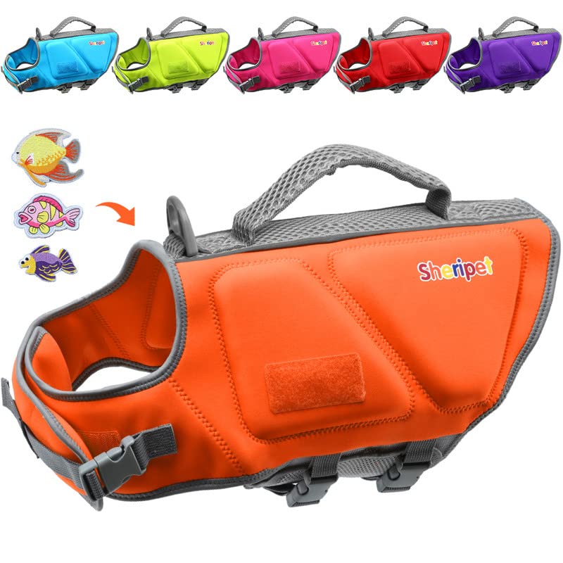 Best Dog Life Jackets 2024 Totally Reviewed