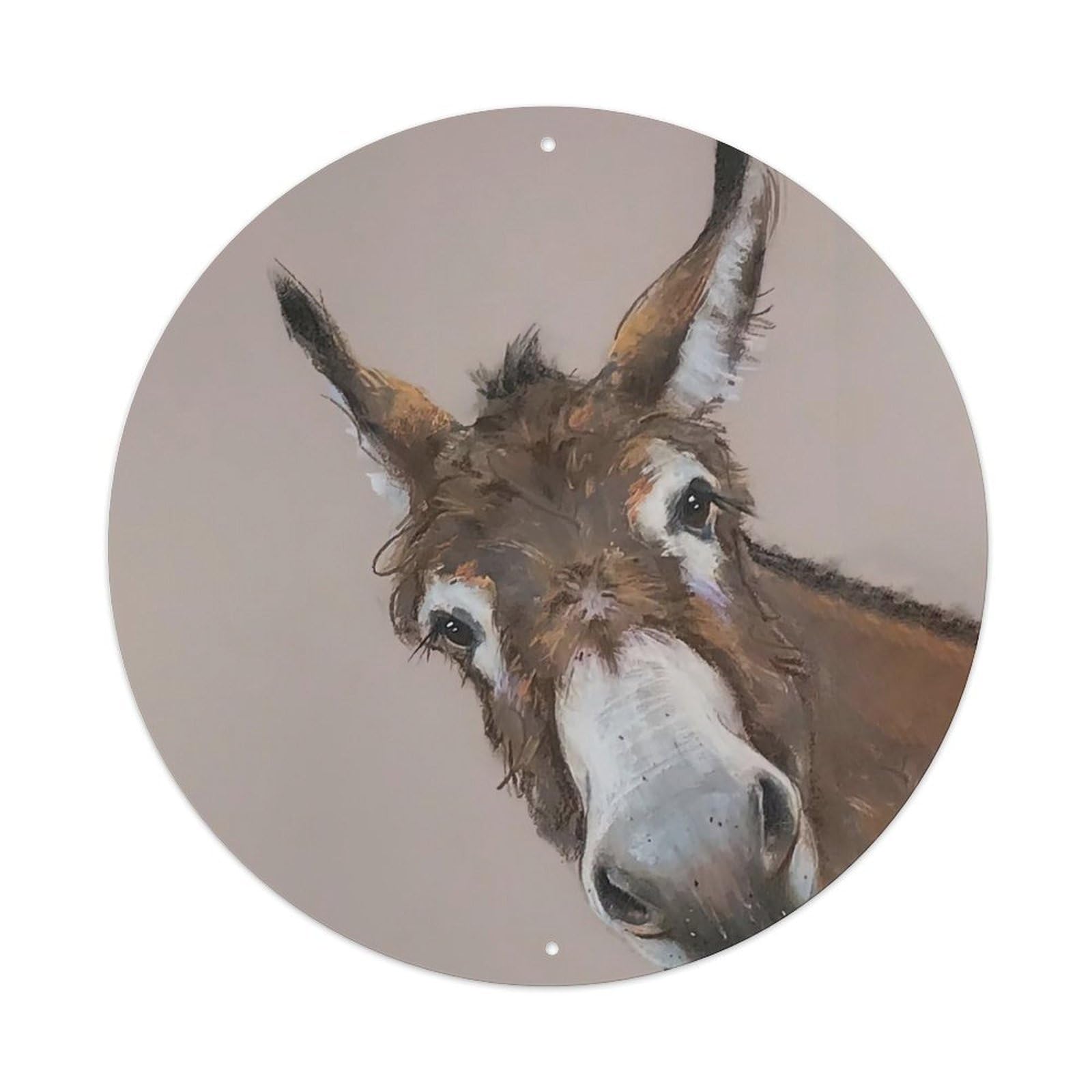 Animal Artwork Donkeys Vintage Metal Tin Sign Plaque Wall Decor for Cafe, Club Bar, Office, Garden Metal Poster 8x8Inch