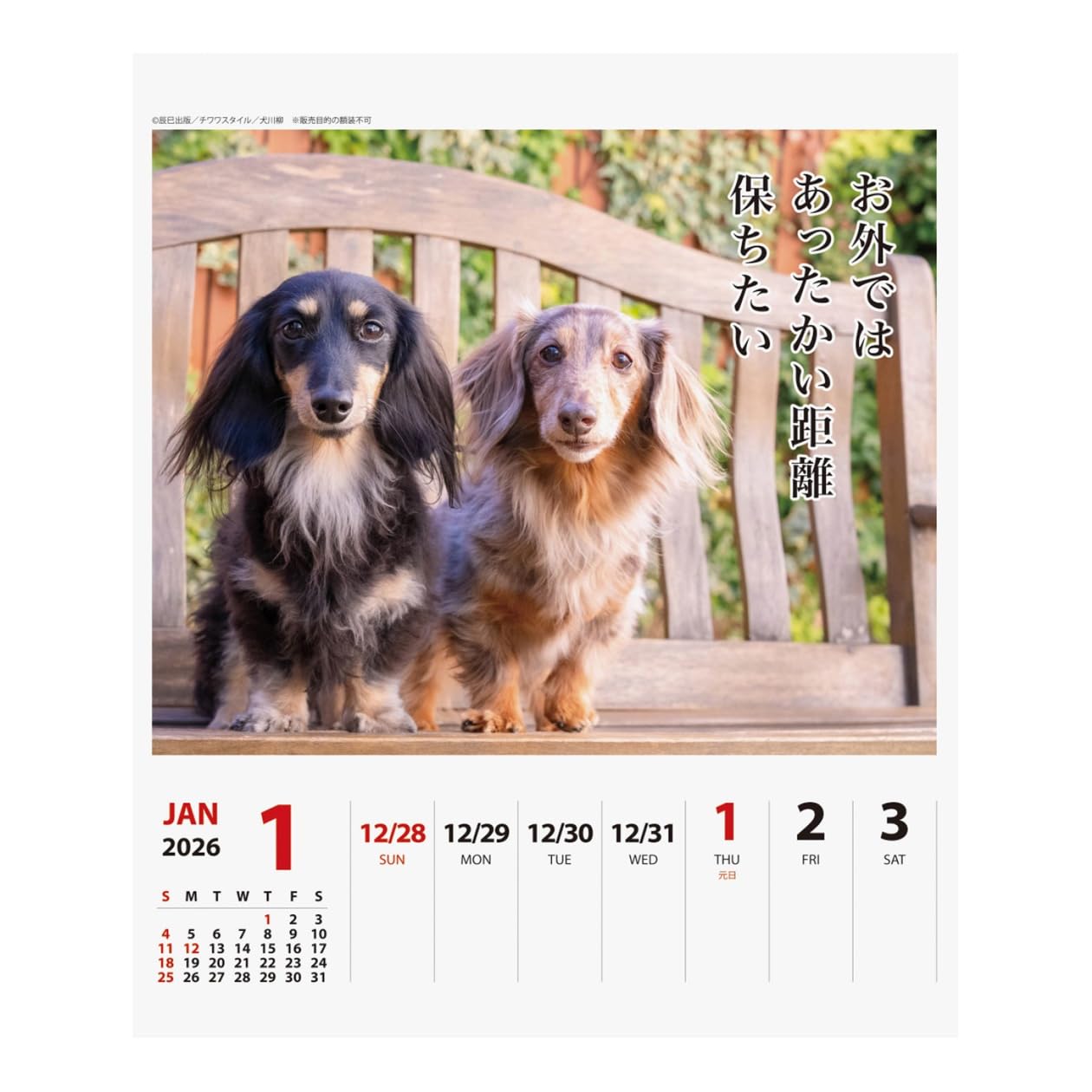 Amazon | 2026年カレンダー ダックス川柳(週めくり) | カレンダー