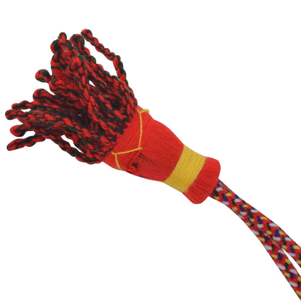 Suonatore Di Cornamusa Irlandese - Foto 10