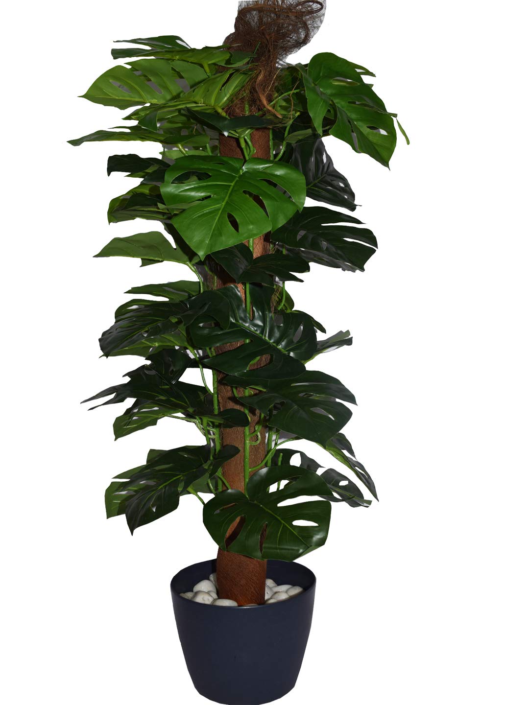 See full amazon price history chart for Fourwalls Beautiful Artificial Pvc Silk Plant With Big Leaves And Without Pot (Green, 110 Cm Tall), Artificial Plant Fourwalls Beautiful Artificial Pvc Silk Plant With Big Leaves And Without Pot (Green, 110 Cm Tall), Artificial Plant (B07SKGYVL8) Amazon Price History, Amazon Price Tracker