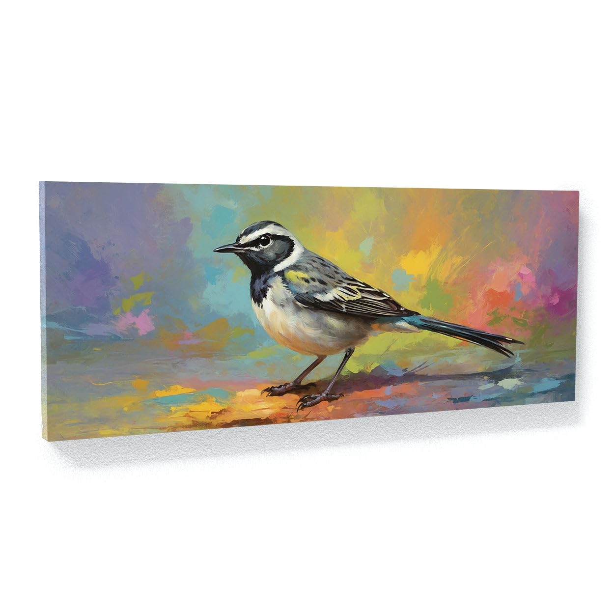 Amazon.com: Sense Canvas Wagtail Vibrant Whimsy 46 Canvas Art