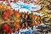 Springbok Autum Lake 500 Piece Jigsaw Puzzle for Adults Features Breathtaking Autumn Foliage Against a Reflective Lake