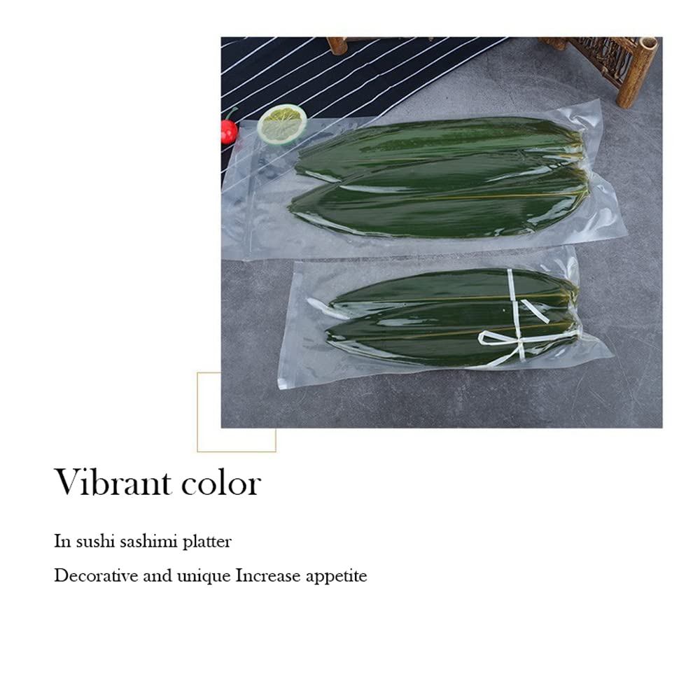 Hojas de bambú de sushi decorativas japonesas, empaquetadas al vacío, hojas de bambú Zongzi frescas, decoraciones de sashimi (l)