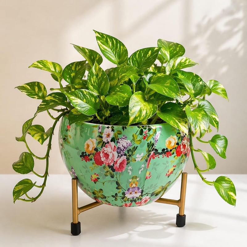 Image of Metal Flower Vase Planter with Iron Stand | Pack of 2 Green Floral Print Indoor Plant Pots for Home Decor | Ideal for Succulents & Small Plants | Sunlit Symphony Design | 6x6x6 Inches