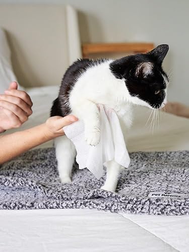 Miniatura 27 de Pet Parents® Pet WiPees™ - Toallitas multiusos para perros + piel y pelaje para mascotas, toallitas para perros, toallitas para perros y cachorros