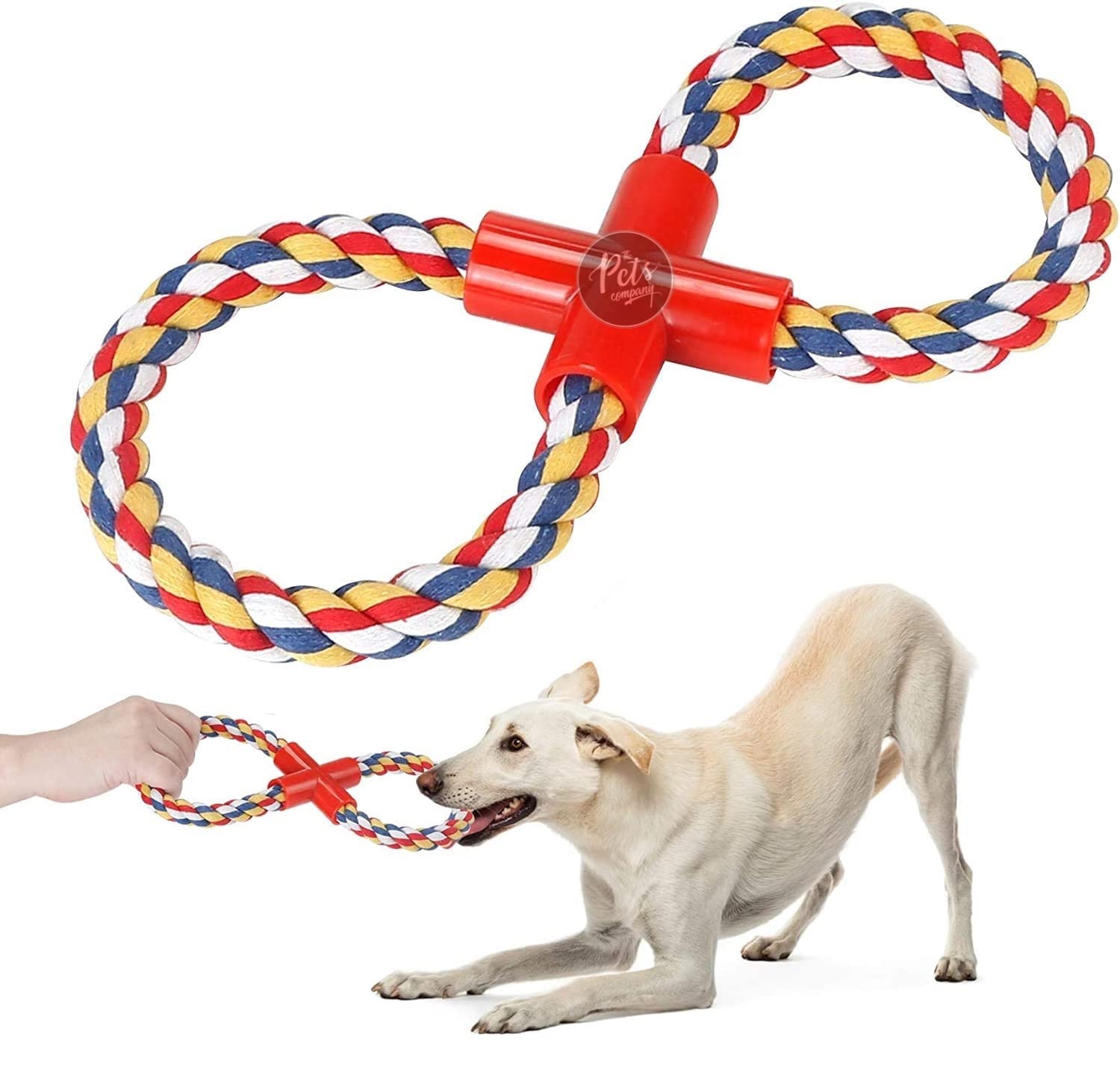 The Pets Company Cotton Rope Loop Tug Dog Chew Toy, Puppy Teething Toy, 14 inches, Color May Vary (B07CNXZN69) Amazon Price History, Amazon Price Tracker