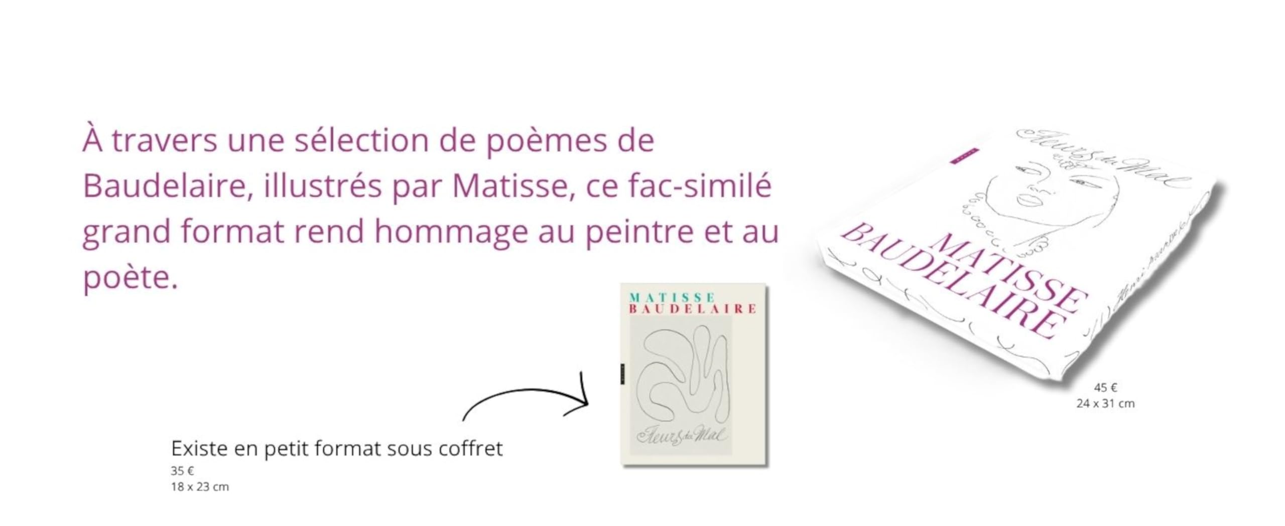 Les Fables de La Fontaine illustrées par Chagall. Version grand format