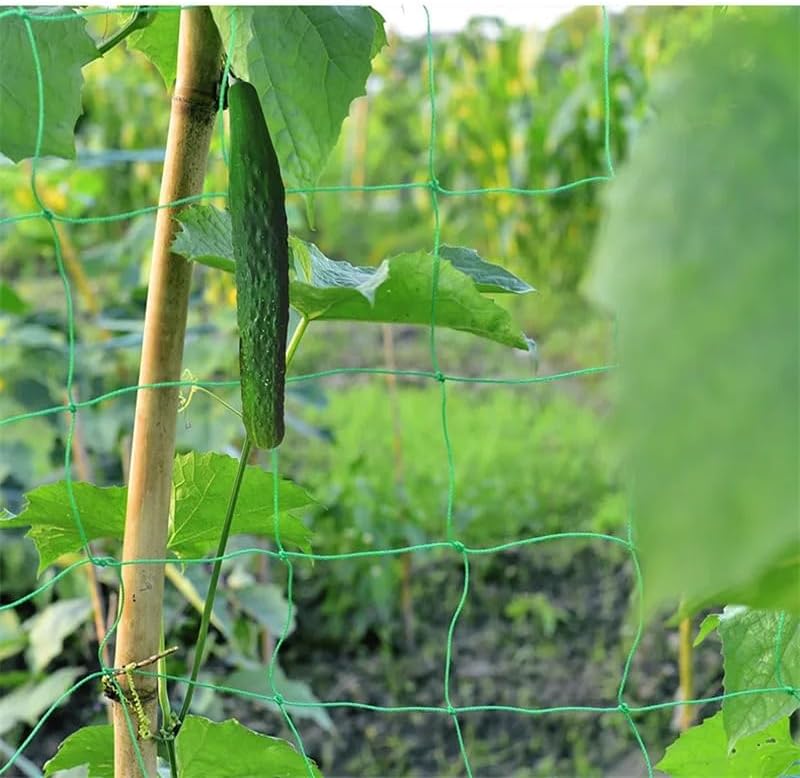Nylon Mesh Anti-Bird Netting - Garden Protective Net for Vegetables Fruits Flowers & Climbing Plants - Durable Rattan Climbing Support (0.9 x 1.8m)