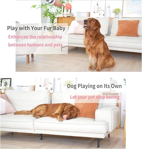 Miniatura 2 de Pelota interactiva de juguetes para perros, bola de perro malvada activa con control remoto, bola de perro rodante automática con luz, regalo