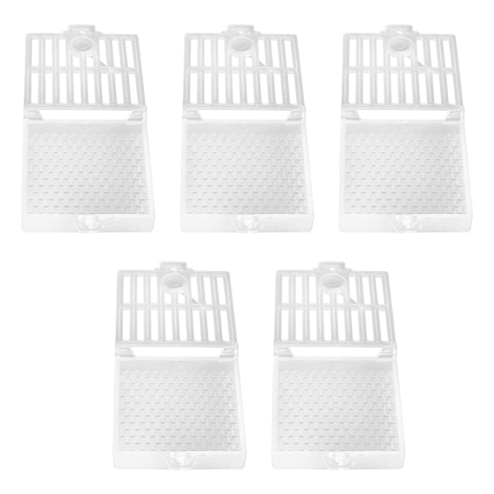 Cryfokt Queen Bee Cage, 5 Pezzi Multifunzionale Queen Bee Carrier Gabbia per Apicoltore per Apicoltura