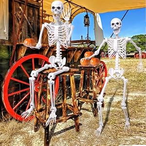 Halloween Skeleton Decor54ft Life Size Skeleton Posable Skeleton with Artificial Pumpkin Full Body Human Skeleton for Halloween Decorations