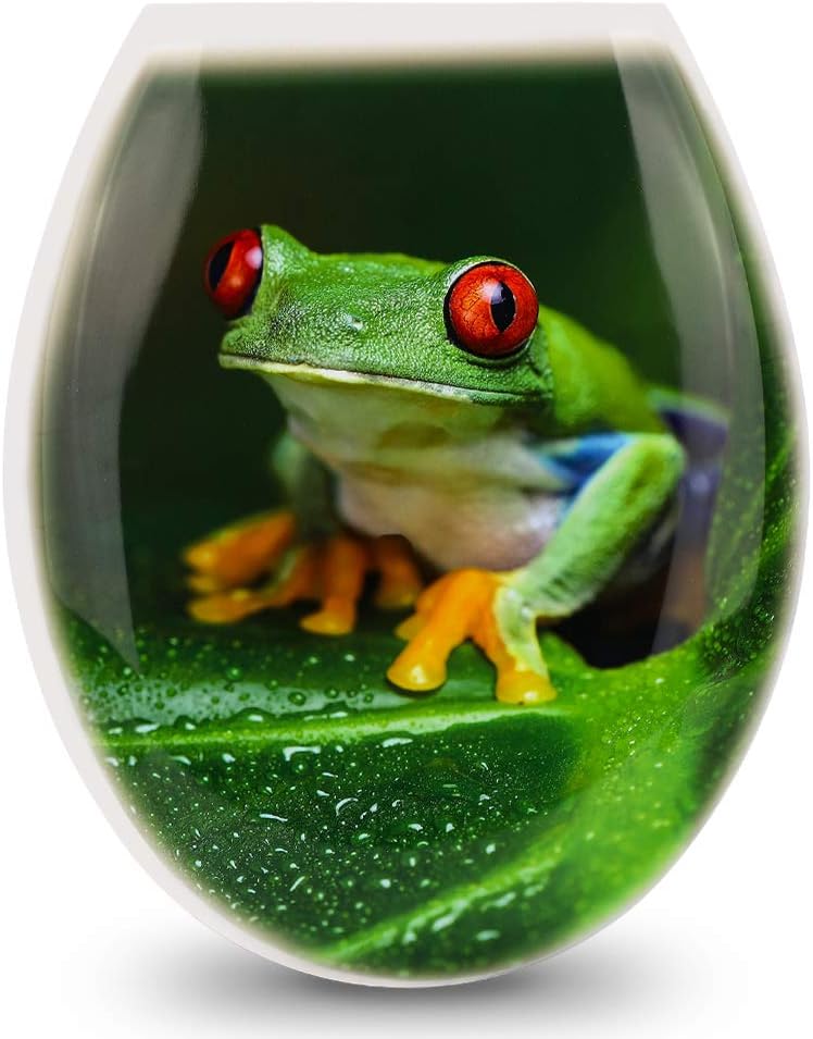 JOTOM Toilet Seat High Quality Toilet Seats for Easy to Mount Colorful