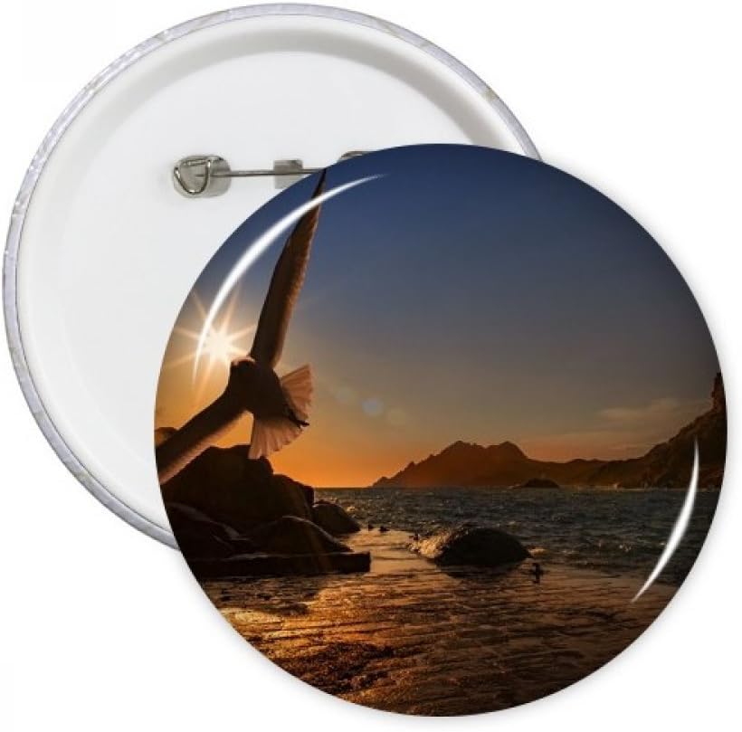 DIYthinker Ocean Eagle Science Nature Picture Round Pins Badge Button Clothing Decoration Gift 5Pcs XL XL Multicolor
