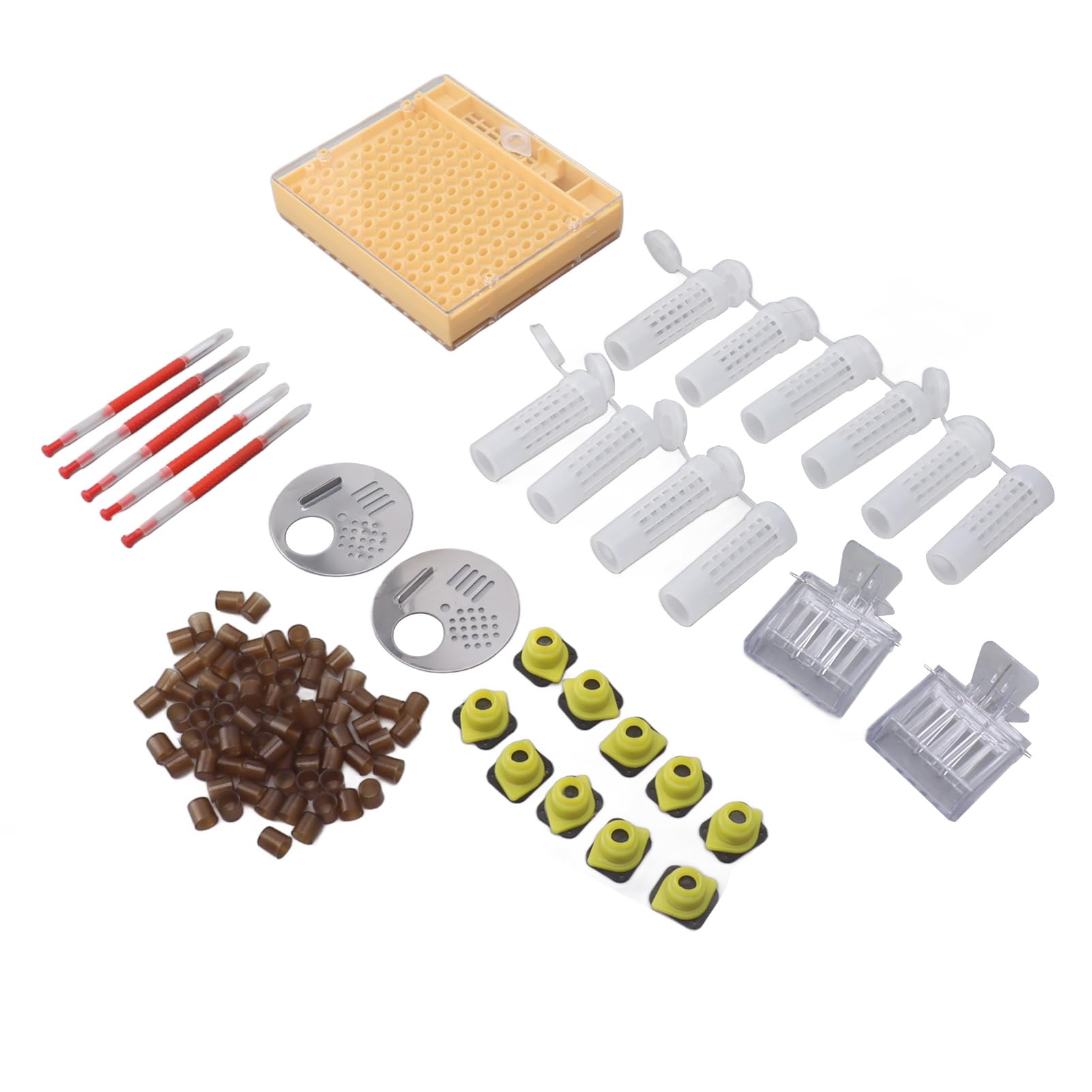 Syst¨¨me D'¨¦Leva de Reine en Plastique, Kit D'apiculture, Fournitures de Greffa de Reine pour Apiculteurs
