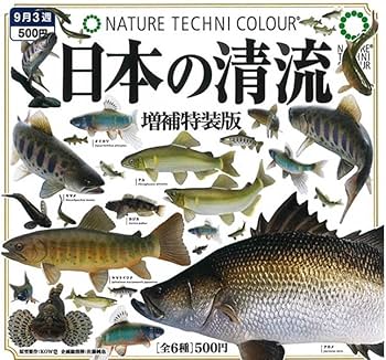 Amazon | NTC ネイチャーテクニカラー 日本の清流 増補特装版 全