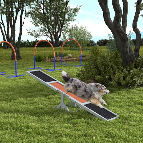 PawHut Hundewippe, Hunde Agility Wippe aus Holz, rutschfest Hunde Agilitäts Rampe für Hunde unter 30 kg, wetterfest Hundetraining Outdoor Hundesport für Balance, 180 x 30 x 30 cm Grau