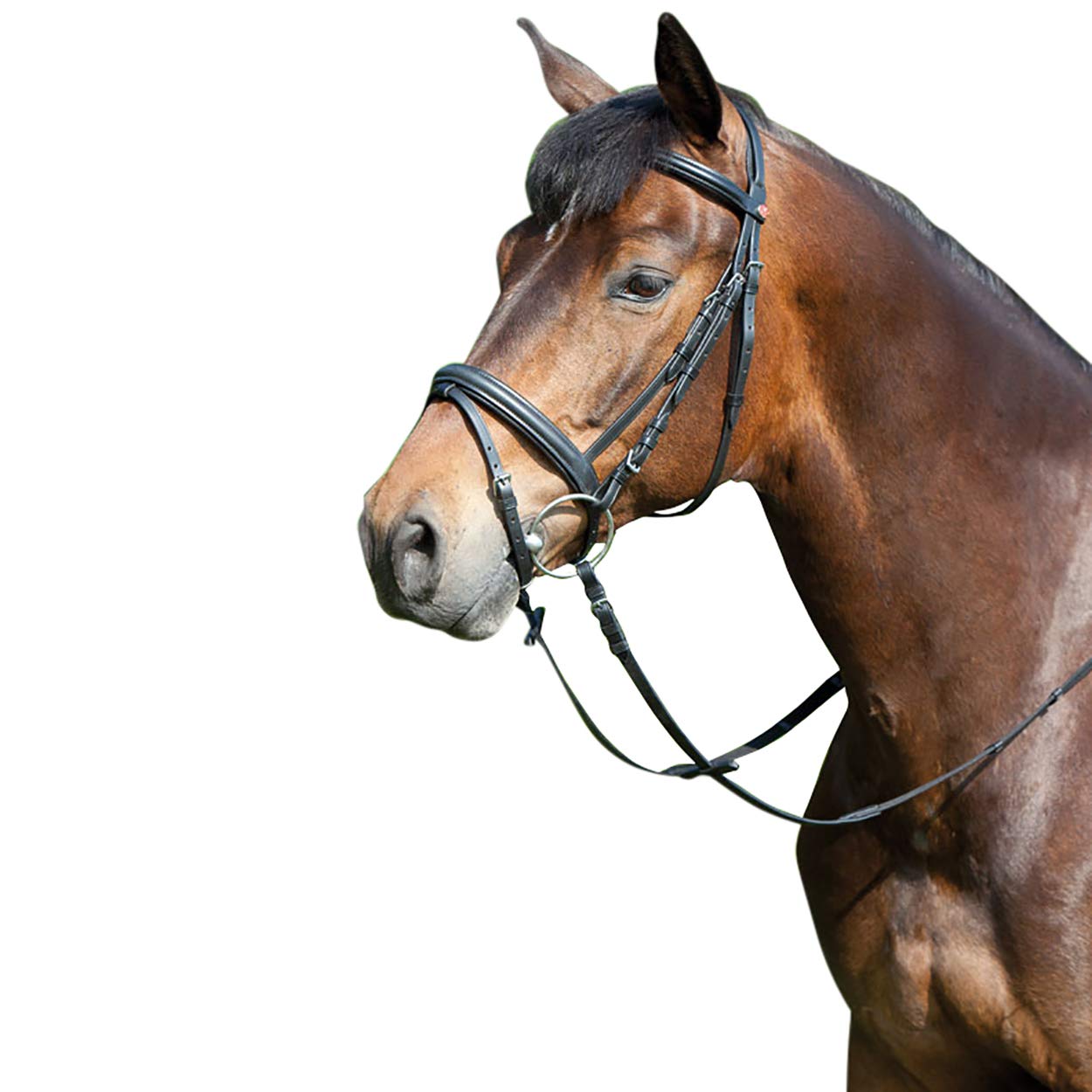 Kieffer - Brida ergonómica para caballo (tamaño: sangre caliente), color marrón y marrón