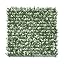 White Buxus with Backing