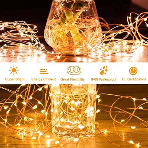 SWHOME Warm White LED Copper Wire String Lights #TOP21