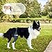 Ortocanis - Kniebandage Hund Hinterbein für das rechte Bein - Hergestellt aus Neopren ARD - Bei Kreuzbandriss, Bänderverletzungen, Patellaluxation oder Osteoarthritis - Größe X-Large (14,2-16')