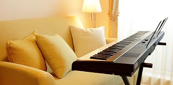 Korg L1 Liano 88-Key Digital Piano - Black Bundle with Furniture Bench, Instructional Book, Austin Bazaar Instructional DVD, and Polishing Cloth