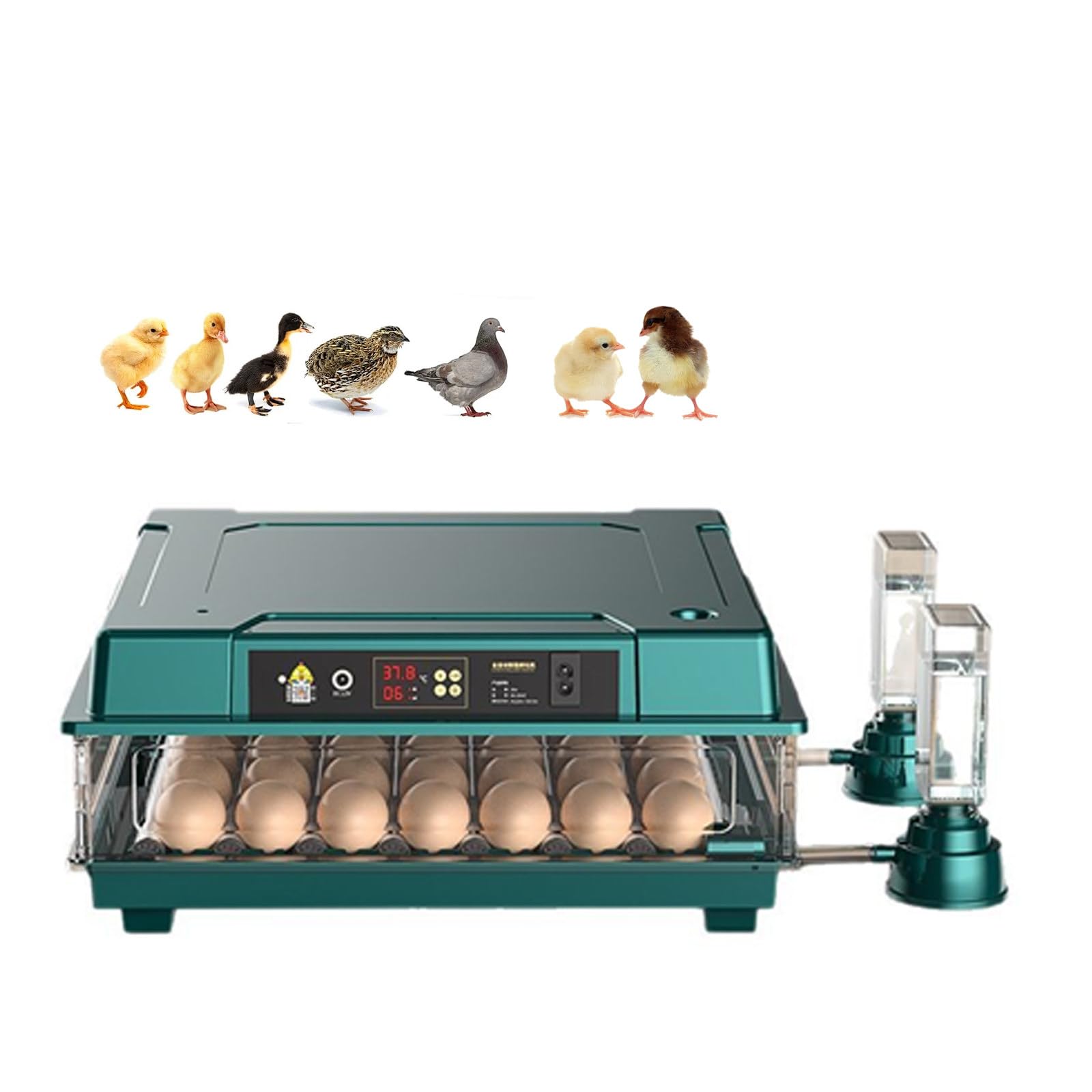 SPECIALBIEGEBUY Automatic Intelligent Incubators 36 Eggs, Poultry Hatcher Machine Fits Chicken Duck Goose Quail Pigeon & Other Birds, Green Color