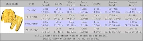 Miniatura 7 de Conjunto de sudadera con capucha para bebés niños y niñas, manga larga con bolsillo y pantalones