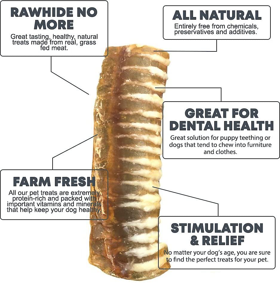 Pawkaboo Natural Dog Treats, Premium Beef Air Pipe Round Tracheas for Dogs Small Cuts 600g Pack (25-35 pieces) 3-4 inch Long - Image 2