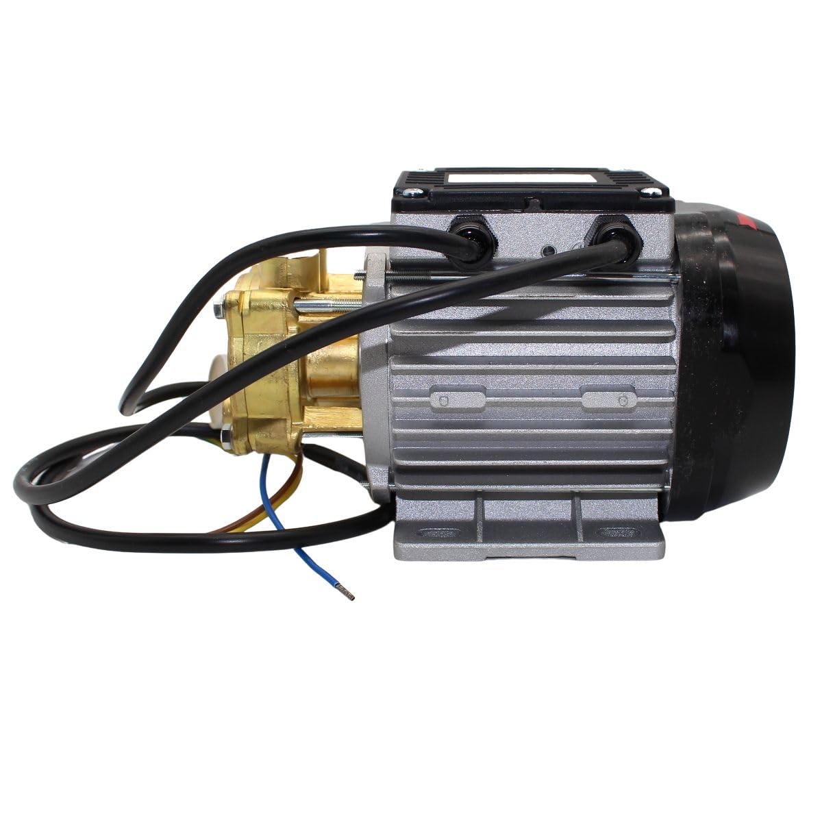 Pompe à eau petite pompe centrifuge en laiton courant alternatif LWS 117 230 V 50 Hz plat LNY2841.0307