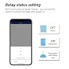 Smart Socket, Wi-Fi Compatible, Remote Control, Home Socket with Relay Function, App-Compatible Remote Control, Indoor Kitchen Appliances, Heater, Humidifier,