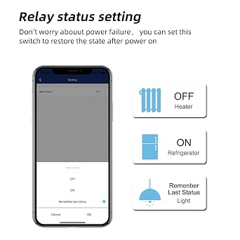 Smart Socket, Wi-Fi Compatible, Remote Control, Home Socket with Relay Function, App-Compatible Remote Control, Indoor Kitchen Appliances, Heater, Humidifier,