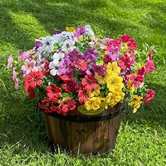 Yellow,fuchsia,purple,pink,red,white