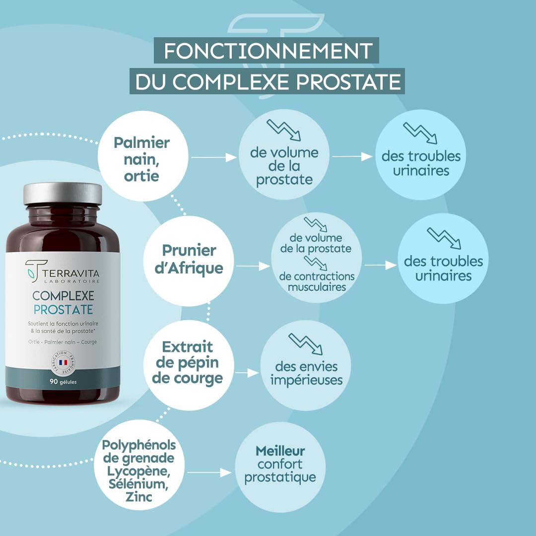 Complexe PROSTATE | Protection de la Prostate et Confort Urinaire Homme | Lutte Naturellement et Efficacement contre l’HBP et les Mictions | Dosage Clinique | 90 Gélules | Made in France | Terravita