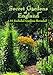 Secret Gardens of England-Brantwood, Brook Cottage, Kensington Roof Garden, Overbecks, Akenfield, Calke Abbey, Cobblers, Hastercombe House, Castle Tor, Scarthwaite, Sunnybank Road Longstock Park, Edge Hill, Thorp Perrow, Upper Grot