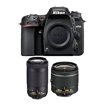 Nikon D7500 Two Lens Outfit : Amazon.ca: Electronics