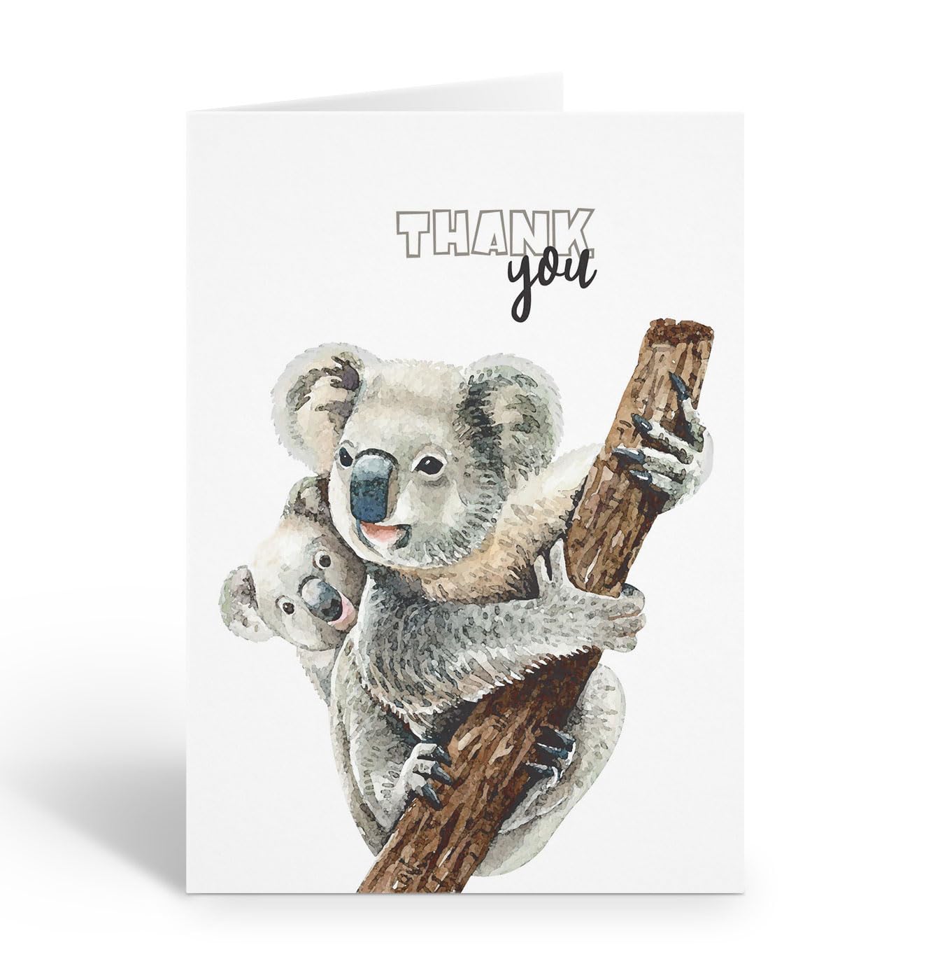 Stonehouse Collection | Watercolor Koala Thank You Note Cards | 10-Pack Blank Greeting Cards with Envelopes (Koala)