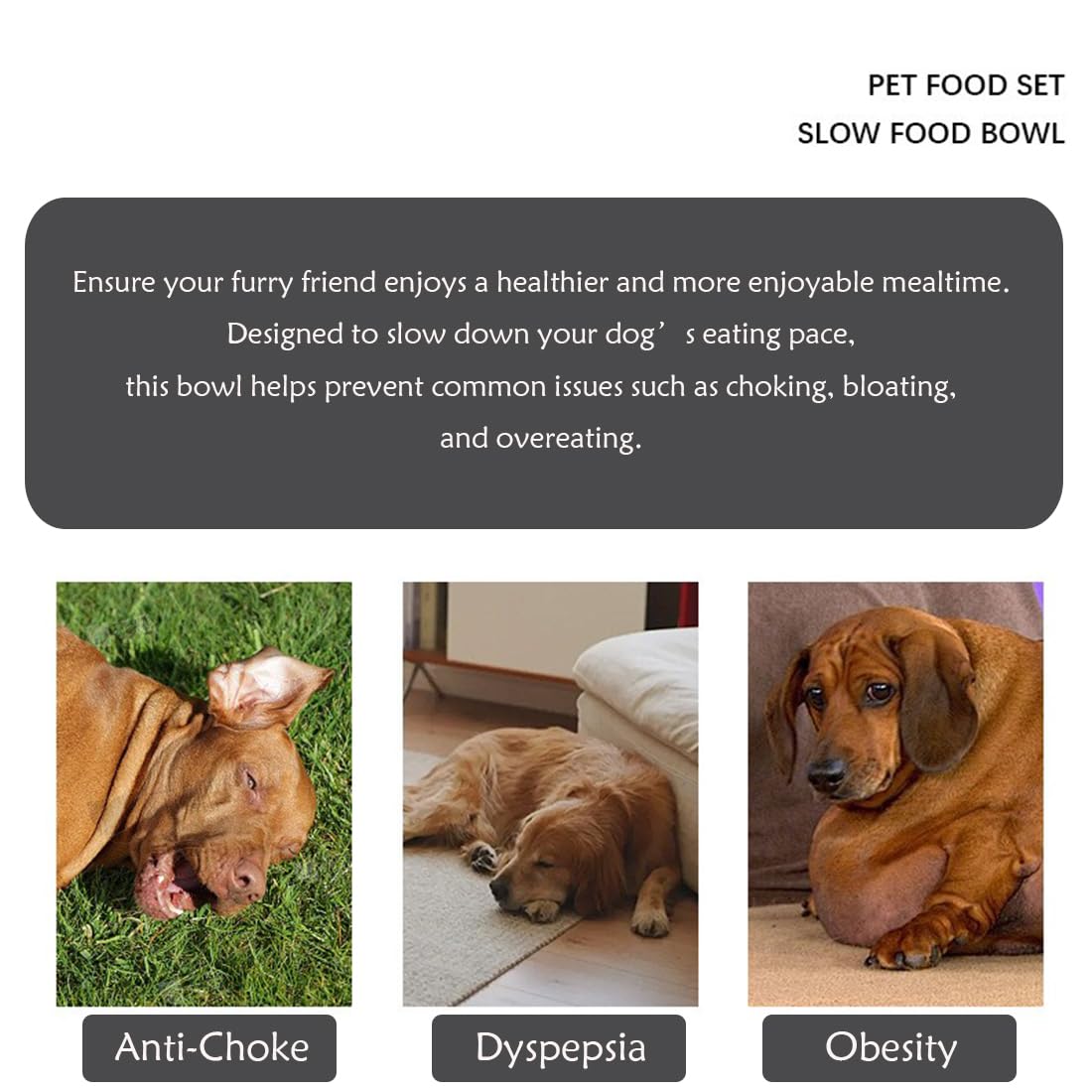 Fermus Metal Dog Slow Feeder Bowl, Stainless Steel Anti-Choke Slow Eating Pet Bowl for Dogs, Fun Interactive Design - image 2