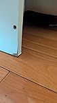 Review Image by Caribvine Caribvine