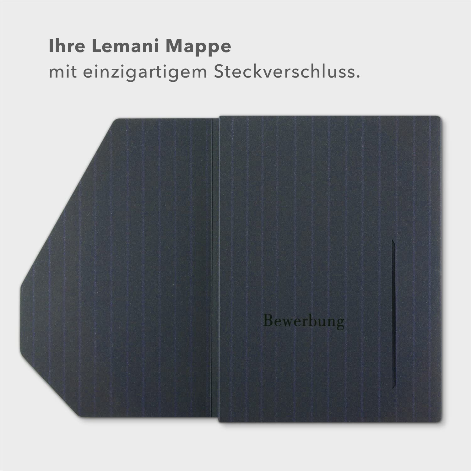 4 Stück 4-teilige Bewerbungsmappen Lemani® PREMIUM mit Nadelstreifen mit 2 Klemmschienen - Premium-Qualität mit feinen Nadelstreifen, unverwechselbarer Haptik und hochwertiger Prägung 'Bewerbung'