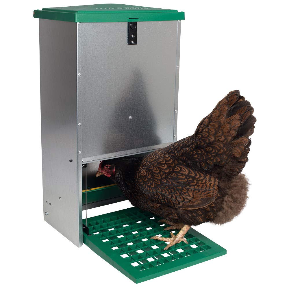 Alimentazione automatica del filo per polli e altri pollame- metallo inossidabile zincato e plastica protetta da UV -, 9+ Hens - 44 Pounds of Feed