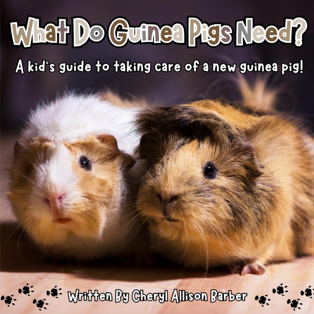 What Do Guinea Pigs Need? A Kid's Guide To Taking Care Of A Guinea Pig