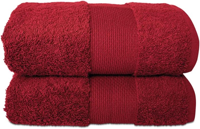 Hencely Luxury Hand Towel Set of 2 (16x28 Inches) Soft